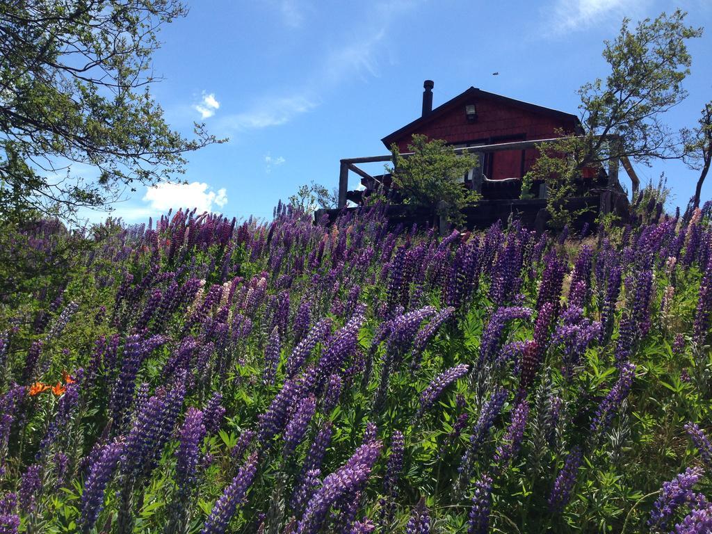 Chalet Brellenthin Cochrane
